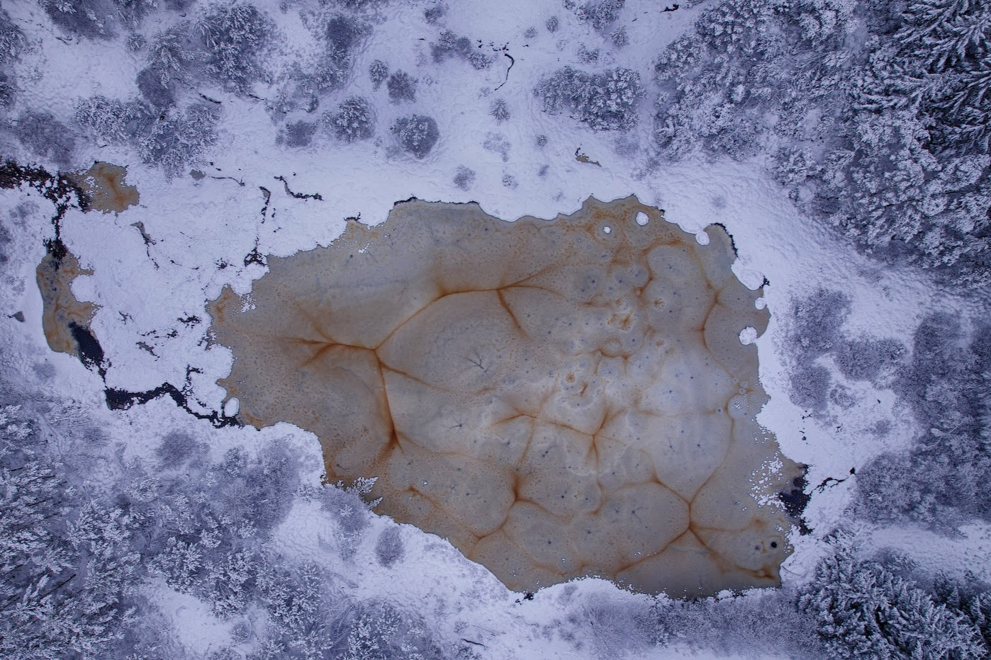 Tjern på Brakahaug, Haugesund