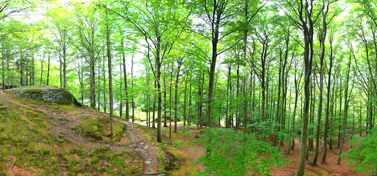 Woodland, Fantoft