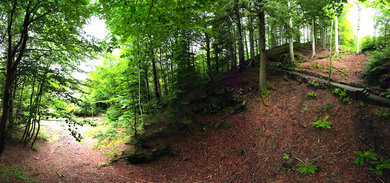 Woodland, Fantoft