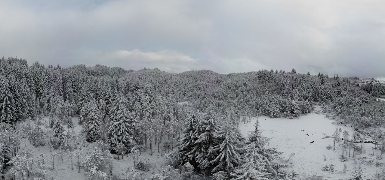Brakahaug