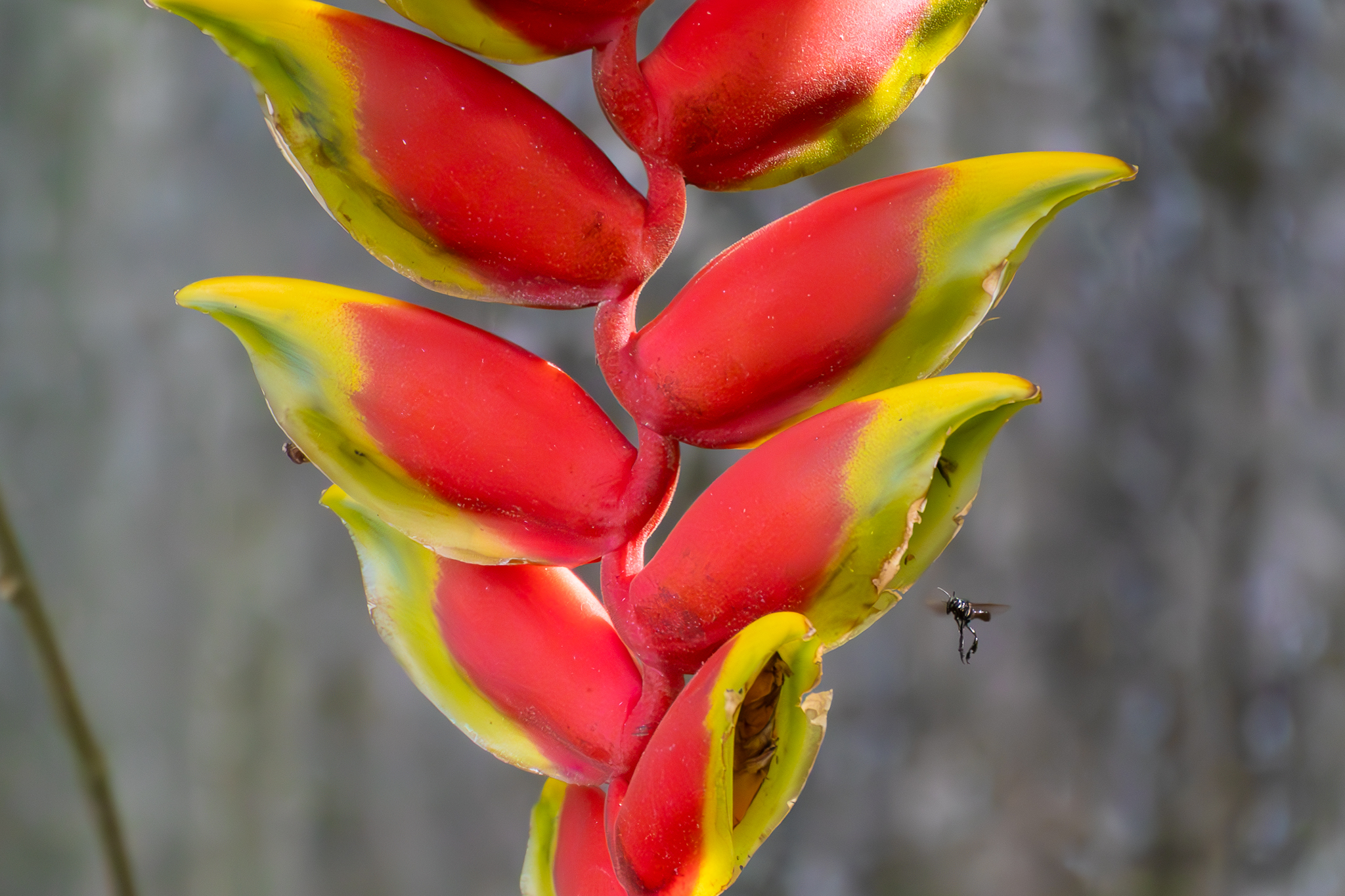 IMG 2428 Enhanced NR 1