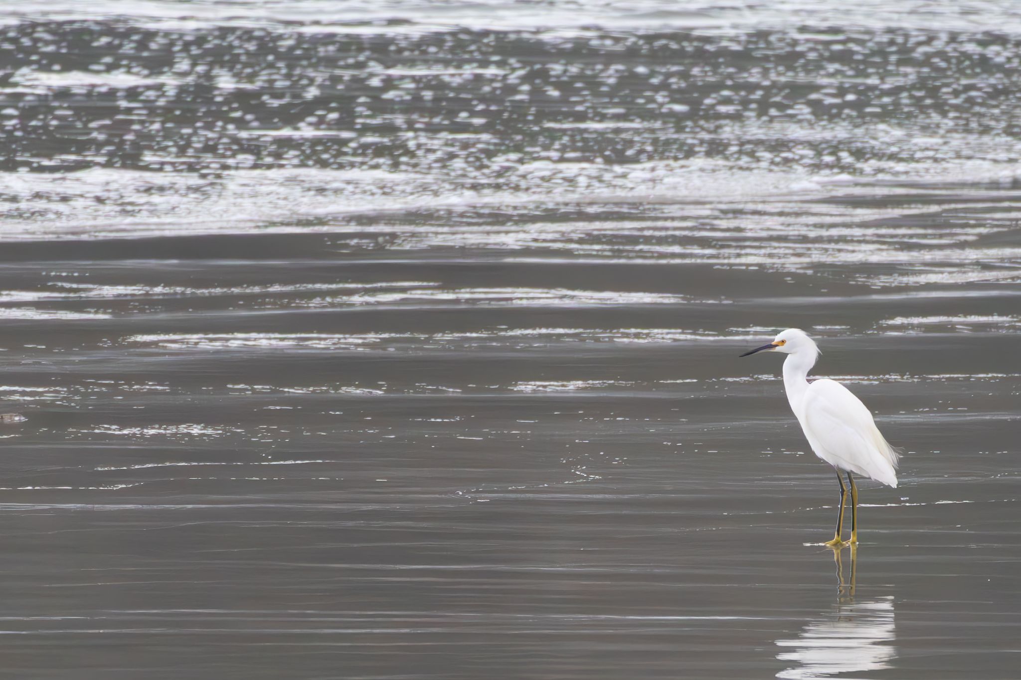 IMG 3504 Enhanced NR