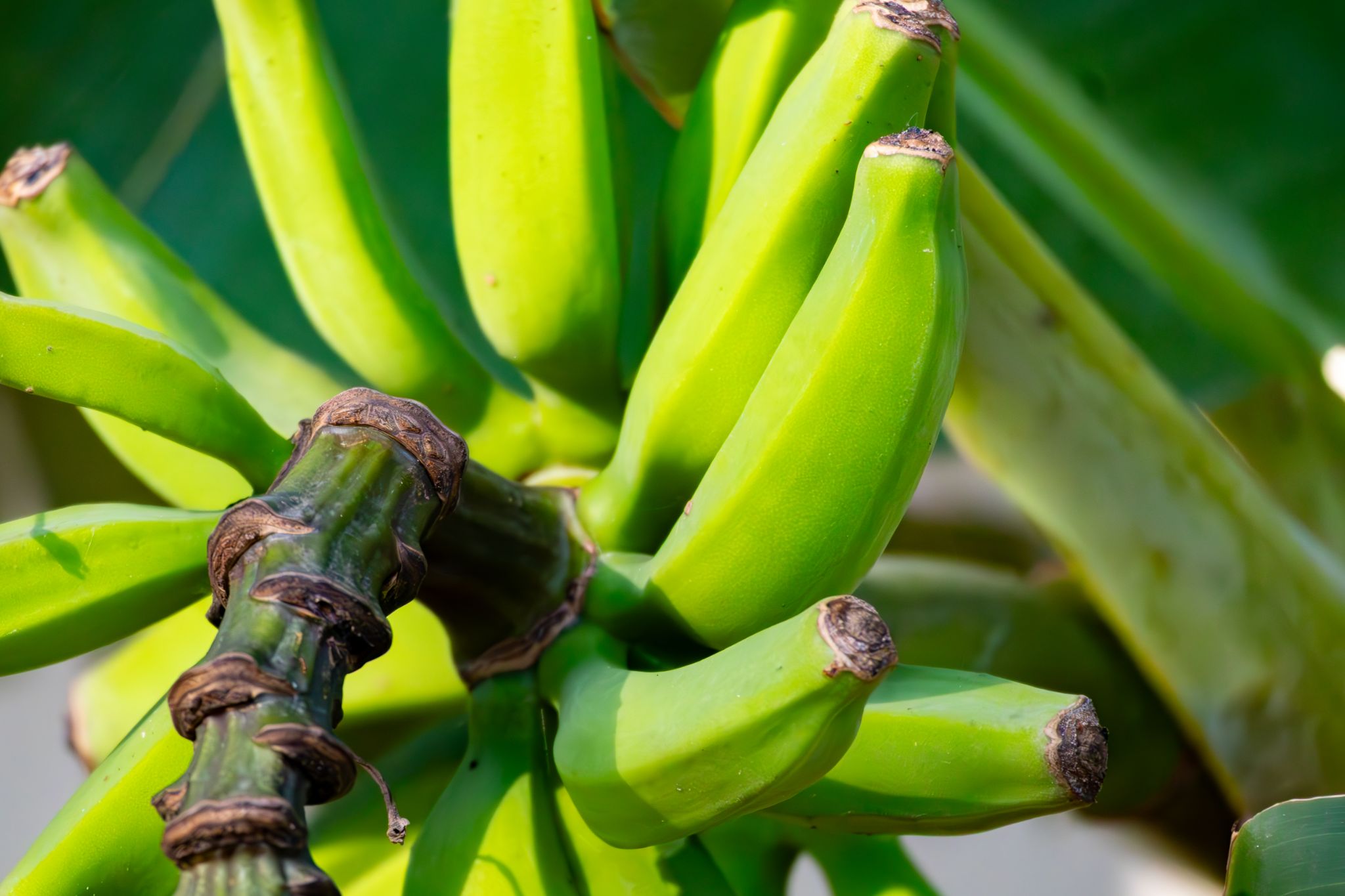 IMG 5047 Enhanced NR