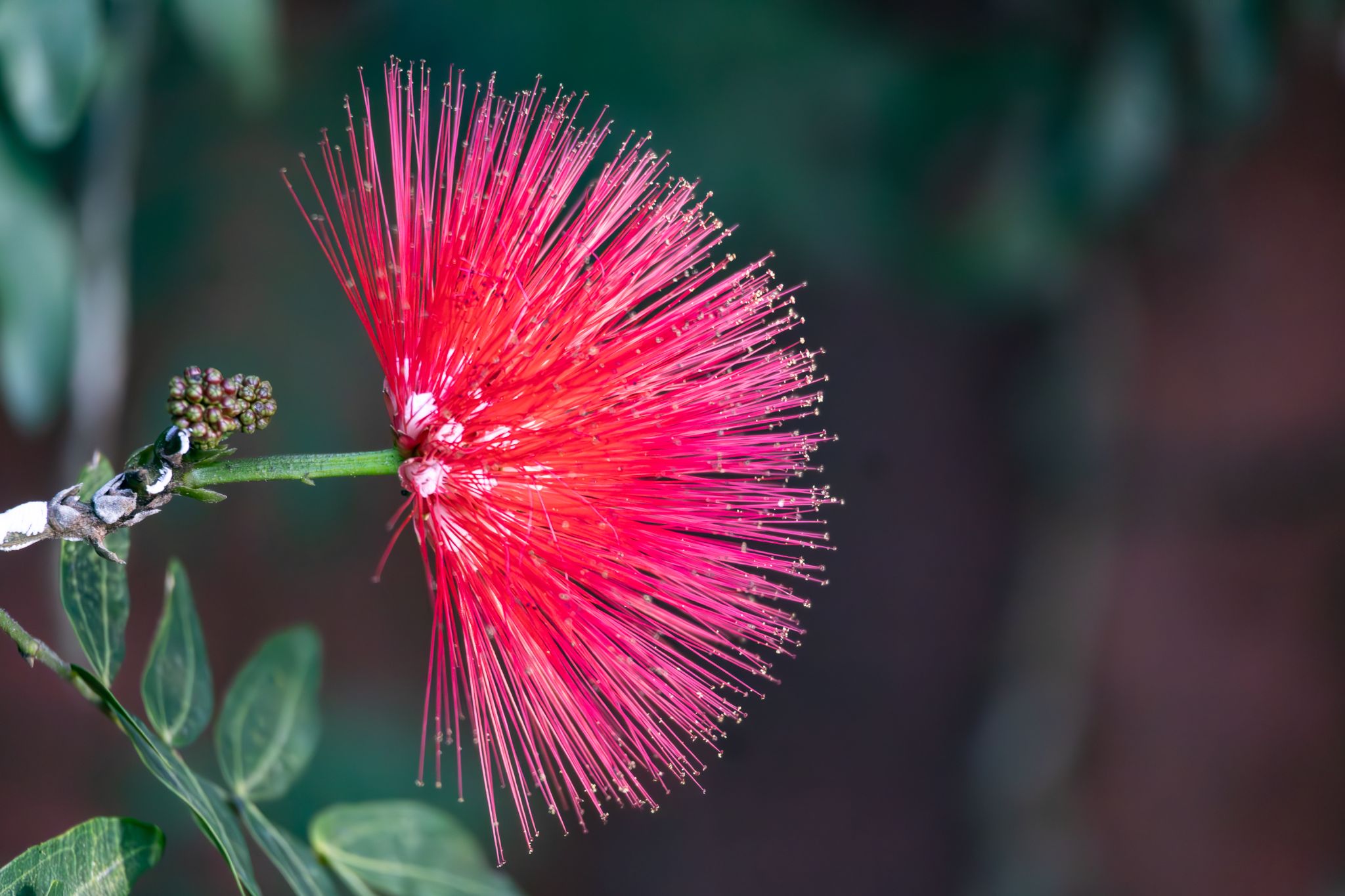 IMG 5285 Enhanced NR