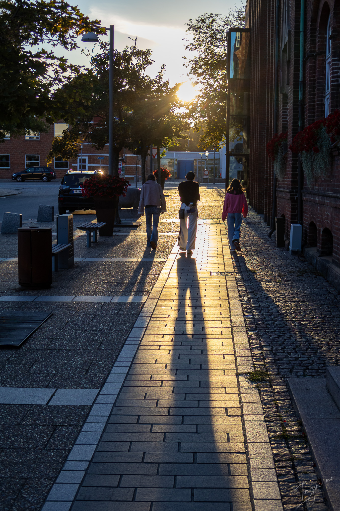 Long shadows