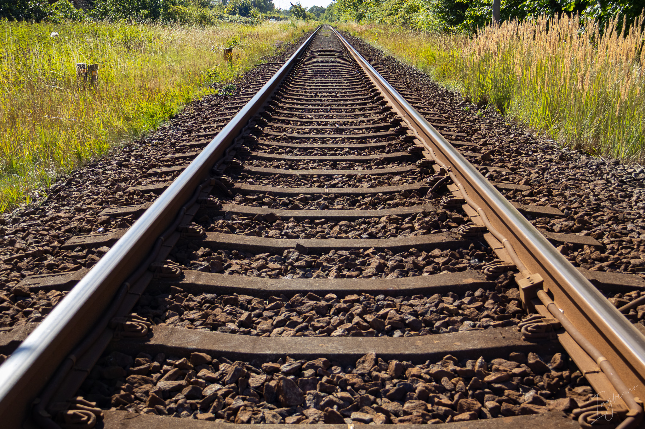 Traintracks