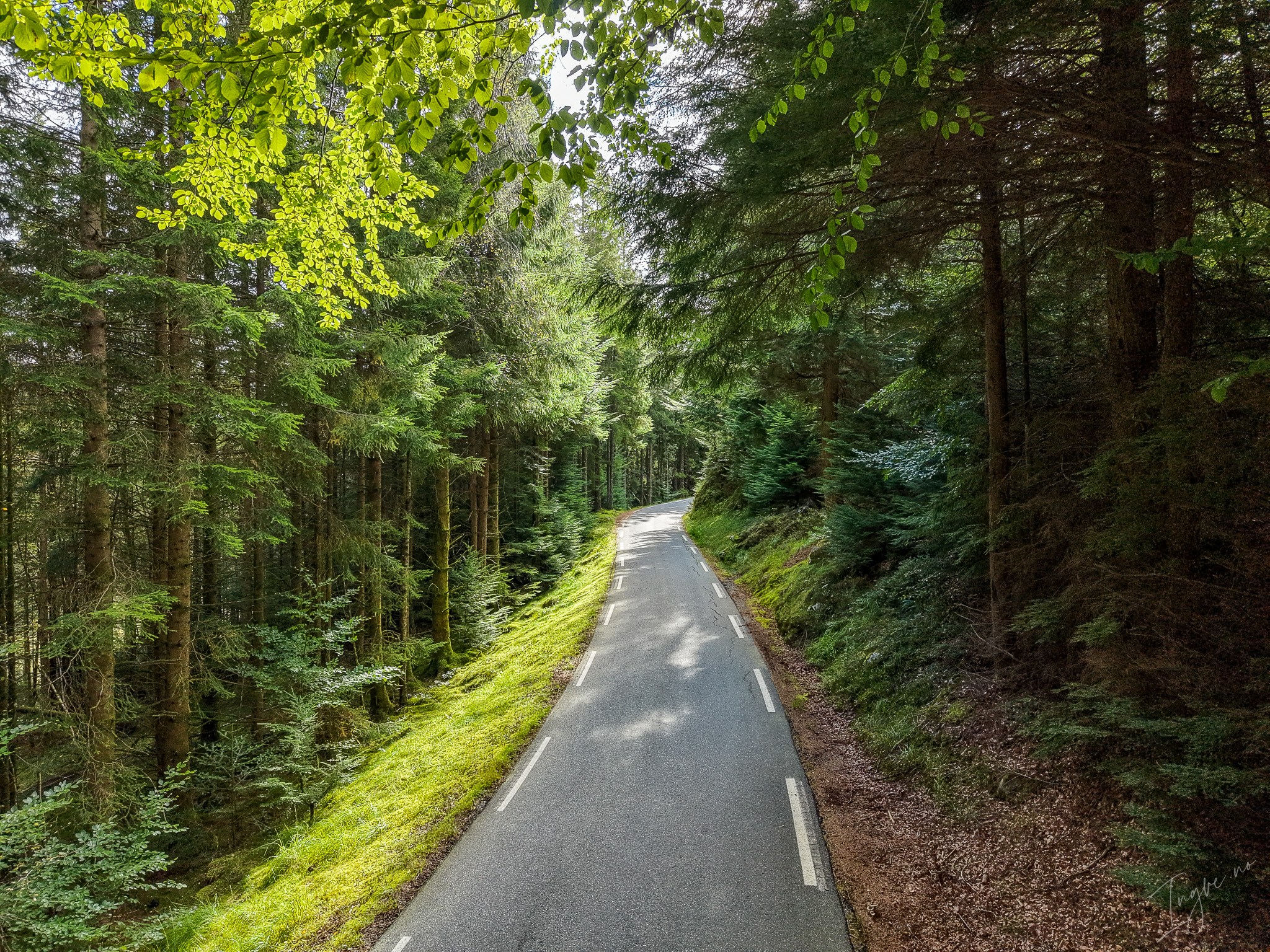 DJI 20250927140602 0005 D