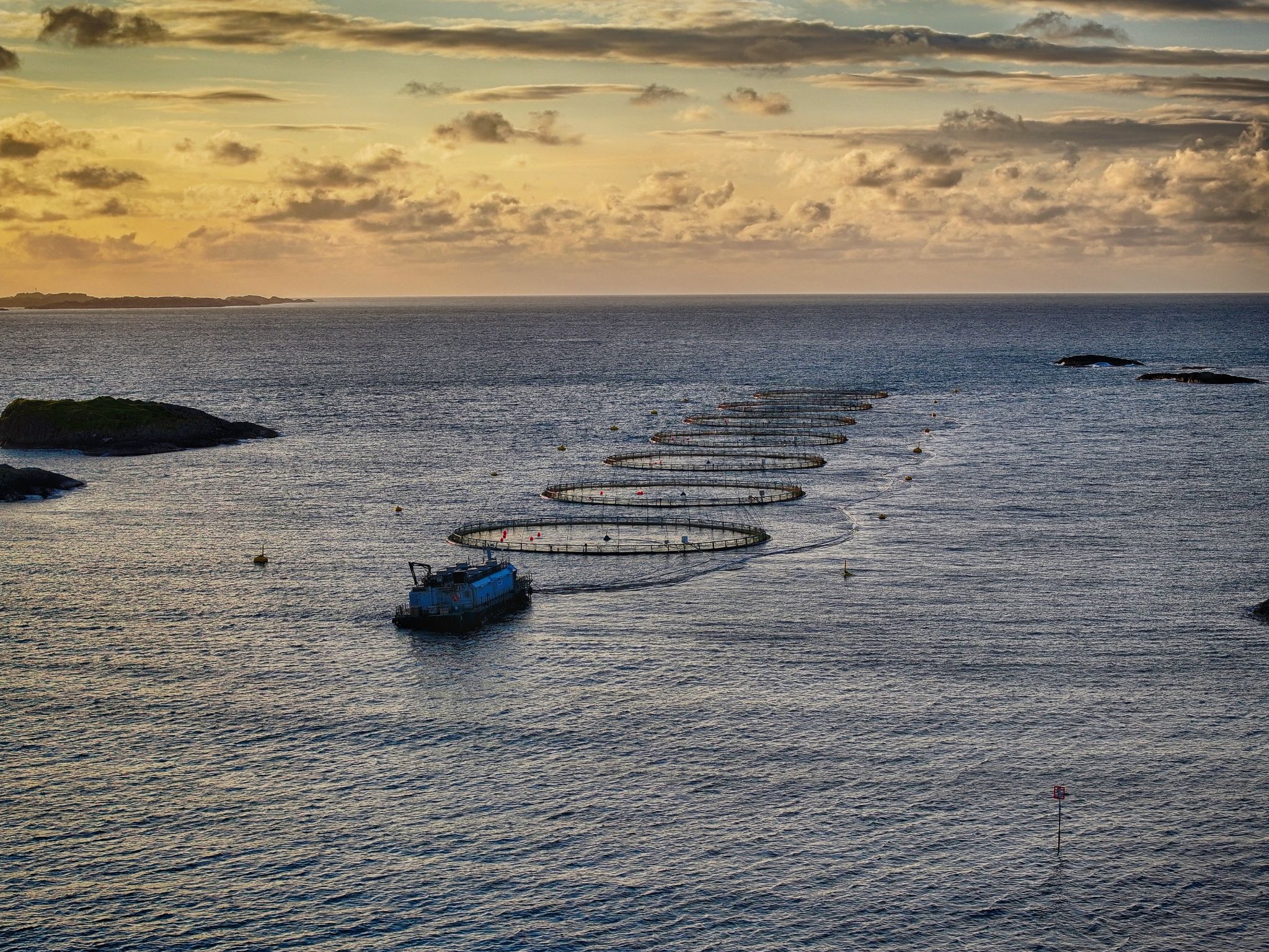 Offshore Fish cultivation