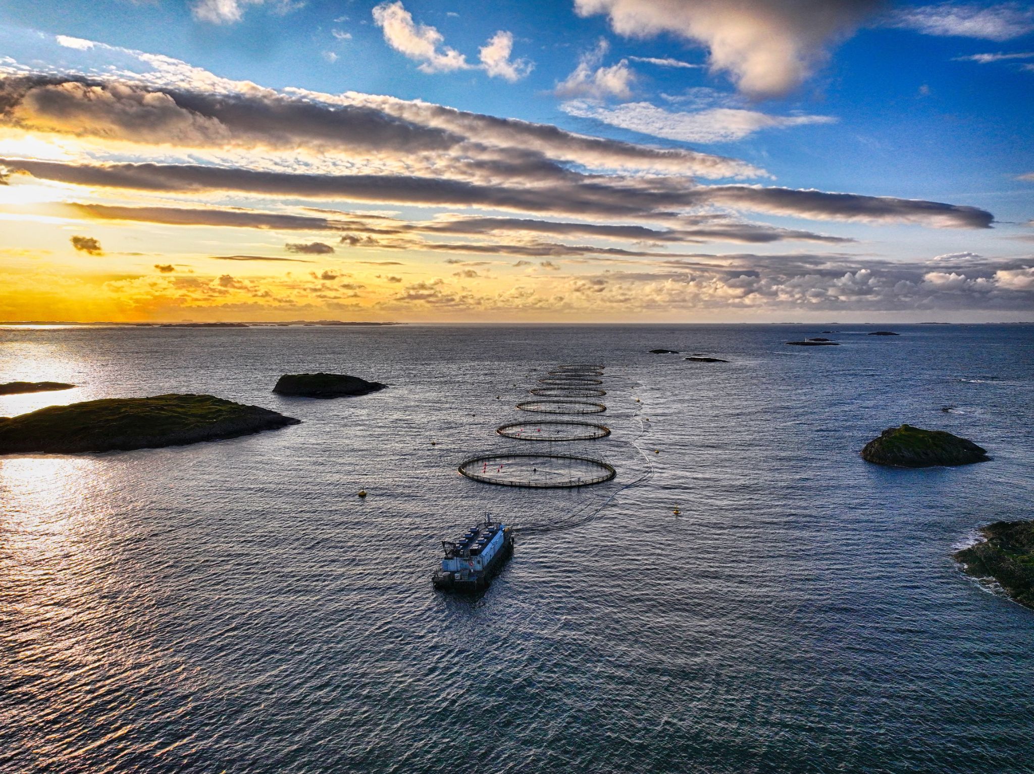 Offshore Fish cultivation